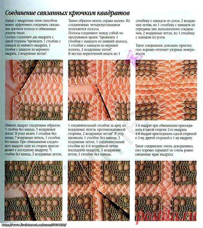 Радикал-Фото: Картинка