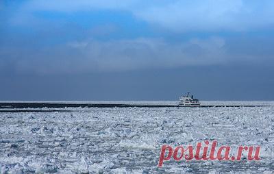 "Росморречфлот" заявил о безопасности судна, подавшем сигнал бедствия в Охотском море. Экипаж эвакуирует вертолет