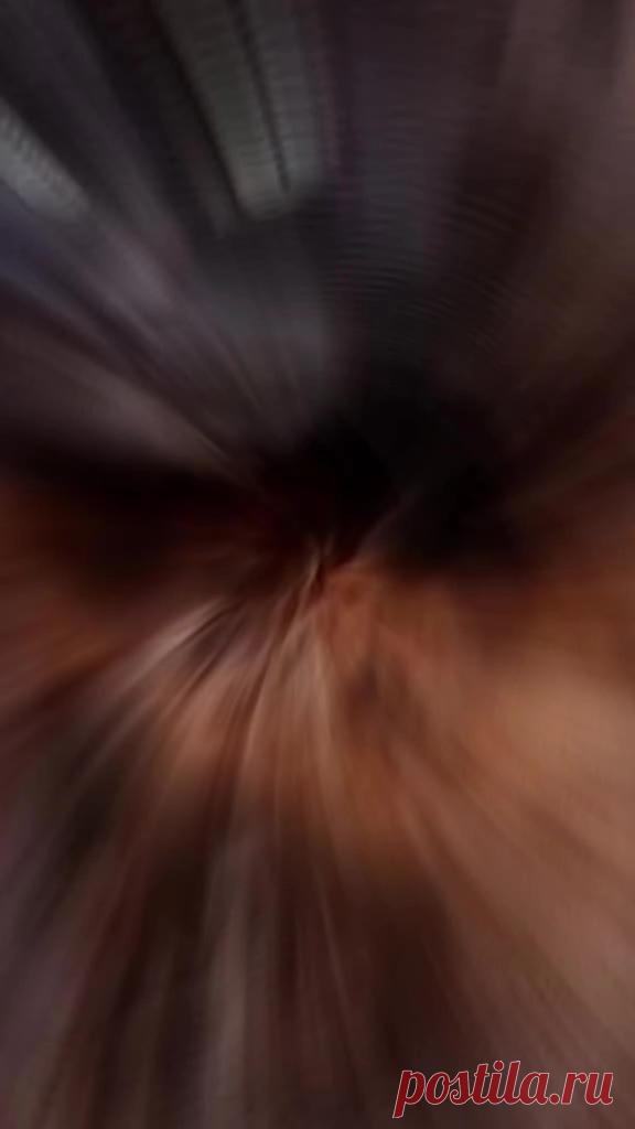 #고양이 #cat #catsoftiktok #slideshow #snowapp #кот #котик #котэ — Wibes #고양이 #cat #catsoftiktok #slideshow #snowapp #кот #котик #котэ