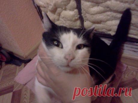 Наелся!!!!!!!!!!!!!!