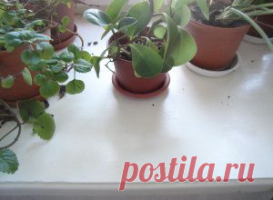 чем отмыть пластиковый подоконник от загрязнений