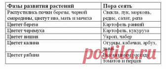 ЧТО КОГДА САЖАТЬ 

Не потерять!