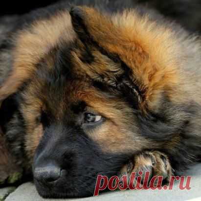 Чудо ребёнок.