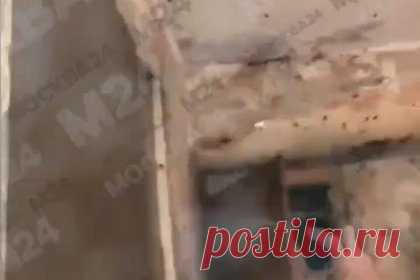 Глухонемой москвич заполонил тараканами всю квартиру