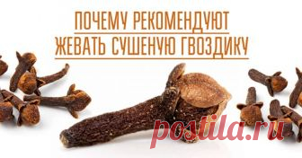 8 полезных свойств гвоздики, о которых вы не знали! Всего один бутон, а какое разнообразие полезных веществ! Химический состав гвоздики необычайно велик. Её полезные свойства объясняются высоким содержанием витаминов, минералов и, конечно же, эфирного масла.