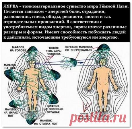 Сенсация!!! Нашим сознанием управляют астральные сущности!!!
