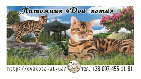 Гадания онлайн - КНИГА ПЕРЕМЕН , Гадание по знаку зодиака - 4 Апреля 2013 - Женский интернет журнал Айлаш - Онлайн журнал &quot;Айлаш&quot;