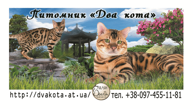 Гадания онлайн - КНИГА ПЕРЕМЕН , Гадание по знаку зодиака - 4 Апреля 2013 - Женский интернет журнал Айлаш - Онлайн журнал "Айлаш"