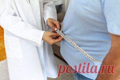 Соединение из хмеля предложили использовать для борьбы с ожирением. Команда специалистов из Университета штата Огайо (США) предложила использовать соединение из хмеля для борьбы с метаболическим синдромом. Они обнаружили, что ксантогумол и его производные, включая тетрагидроксантогумол, помогают уменьшить число опасных бактерий в кишечнике.