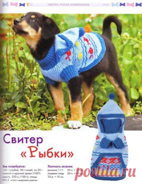 Вязание и пряжа в Lan'Ок Wool Подпишись!!!