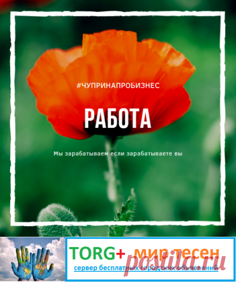 Менеджер по развитию (совмещение)