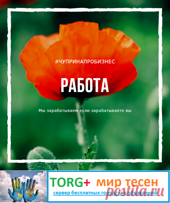 Менеджер по развитию (совмещение)