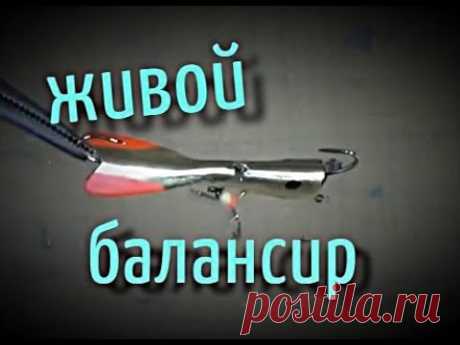 ЖИВОЙ БАЛАНСИР Своими руками    Зимняя рыбалка
