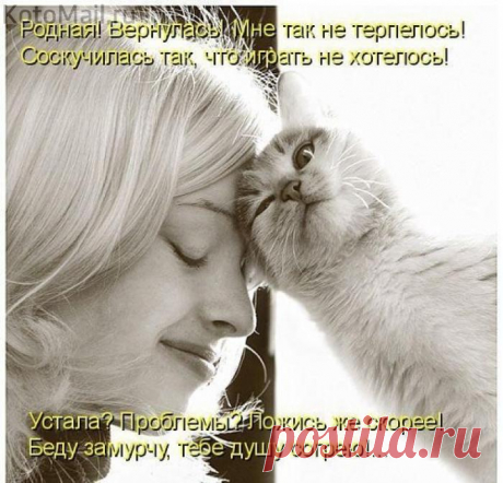 Родная! Вернулась!