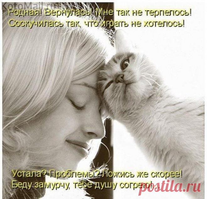 Родная! Вернулась!