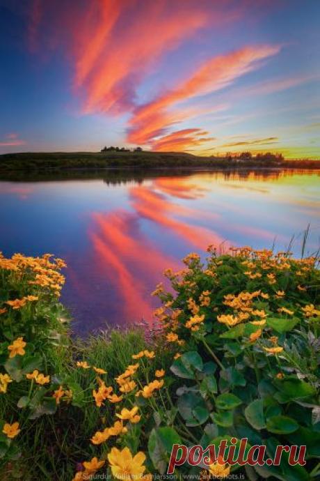 Belle nature