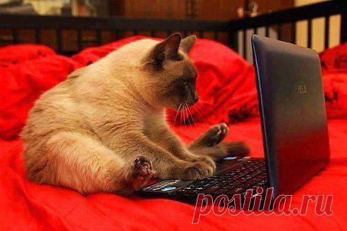 ЗАХОЖУ В БУХГАЛТЕРИЮ.......НИКОГО...ЗАХОЖУ В ОДНОКЛАССНИКИ...ОППА!!!!!  БУХГАЛТЕРИЯ!