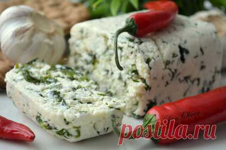 MY FOOD или проверено Лизой: Ароматный домашний сыр с травами и зеленью