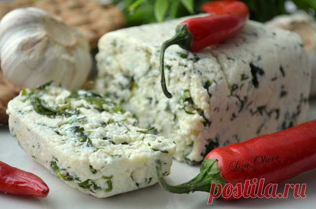 MY FOOD или проверено Лизой: Ароматный домашний сыр с травами и зеленью