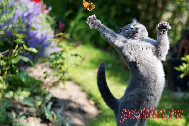 Сокровищница Мудрости