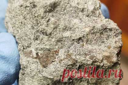 Упавший в России метеорит выставили на продажу