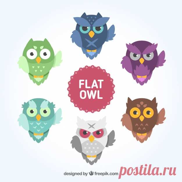 Сбор плотной совы Более миллиона свободных векторов, PSD, фотографии и бесплатные иконки. Эксклюзивные халявы и все графические ресурсы, которые необходимые для ваших проектов