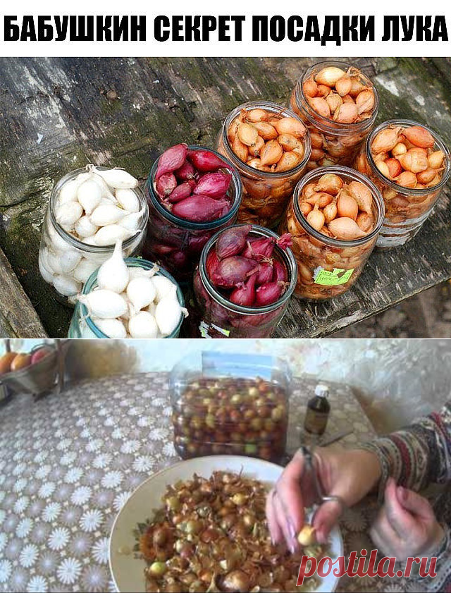 (1) Одноклассники