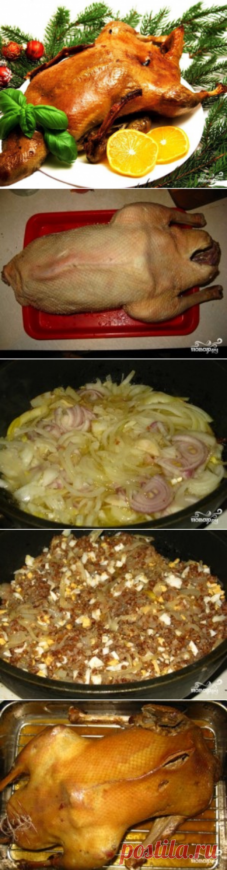 Гусь в духовке с гречкой - пошаговый рецепт с фото на Повар.ру