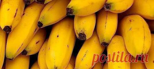 Чудо-еда: 15 щелочных продуктов, спасающих от лишнего веса, инфаркта и даже рака В...