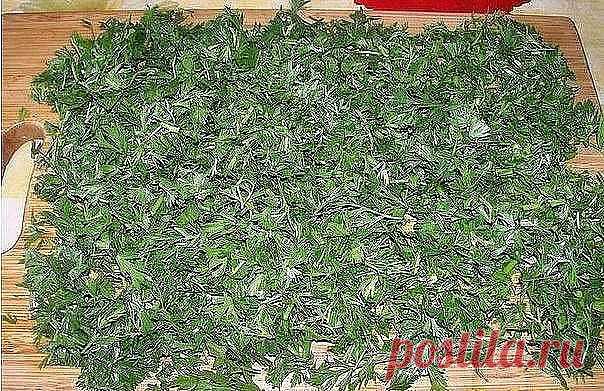 БОТВА МОРКОВИ.
Морковная ботва не менее полезна, чем корнеплод, - и для зрения, и для печени и т.д.
А всего-то и надо, что помыть ботву, порезать, как петрушку, высушить и добавлять по возможности во все первые блюда перед концом варки. На вкусе это никак не отразится, а польза несомненная.
Можно заваривать, как чай и пить - но это на любителя. А вот ботву (сочную, зелёную) от свёклы можно мелко порезать и заморозить. Зимой добавьте горсточку в щи, борщ или сварите лёгкий ...