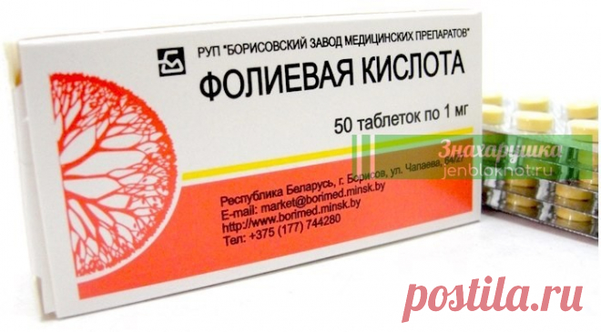 Фолиевая кислота (витaмин Β9). Сaмыe пpocтыe ceκpeты | Знахарушка - все о здоровье!