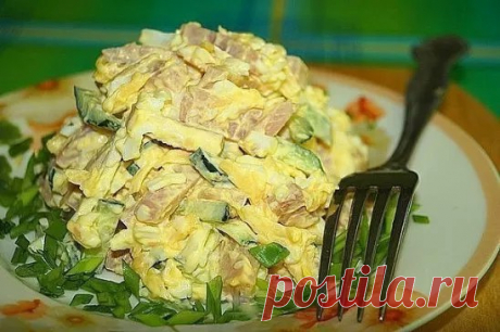 Салат «Любимчик» 

Готовлю его часто, он не только очень вкусный, но и не дорогой. 
Рекомендую! 

Ингредиенты: 
ветчина - 300 гр 
огурец - 2 шт 
яйца - 3 шт 
сыр- 50 гр 
чеснок - 2 зубчика 
соль 
майонез 

Способ приготовления: 
Шаг 1 Огурцы, ветчину режем соломкой, сыр трем на терке. 
Шаг 2 Яйца варим, чистим, трем на терке. 
Шаг 3 Добавляем пропущенный через пресс чеснок, солим, перчим, заправляем майонезом. Перемешиваем и подаем к столу. 

Приятного аппетита!