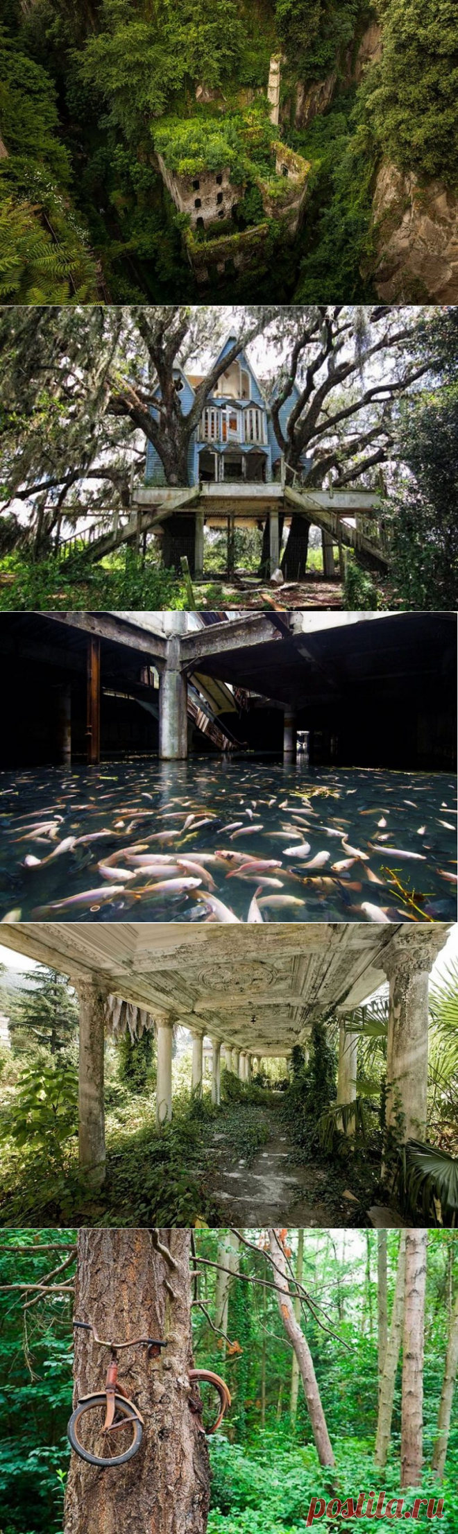 Когда природа залечивает раны, нанесенные человечеством / Всё самое лучшее из интернета