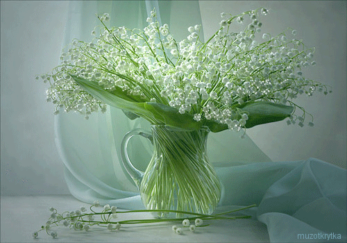 6.gif (500×350)