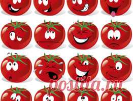 мультяшные герои сеньор помидор: 10 тыс изображений найдено в Яндекс.Картинках