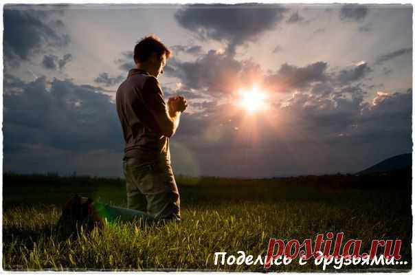 - Мудрость Веков -