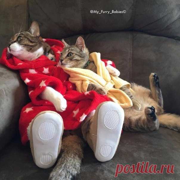 Стена