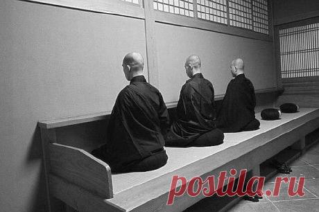 10 принципов Дзен, которые заставят тебя меняться - Экологическое землетворчество | Экологическое землетворчество