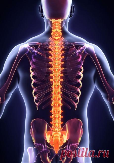 Как исправить искривление позвоночника

Почему происходит искривление позвоночника и как это исправить?Будучи в утробе матери, дитя находится в позе эмбриона 9 месяцев. После рождения необходимо помочь телу малыша распрямиться, вправить суставчики, мягко потянуть мышцы и сухожилия. Также необходимо каждый день делать ребёнку упражнения на растяжки и укрепление тела. С кем-нибудь так делали?Когда приходит время и дитя садится на стульчик, кто-нибудь задумывается - какой выс...