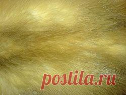 Купить шкурки куница лесной, шкурки ондатры, шкурки белки по договорной цене в Омске, Россия