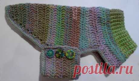 Crochet sweaters for small dogs