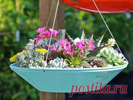 Идеи подвесных горшков, которые украсят ваш дом