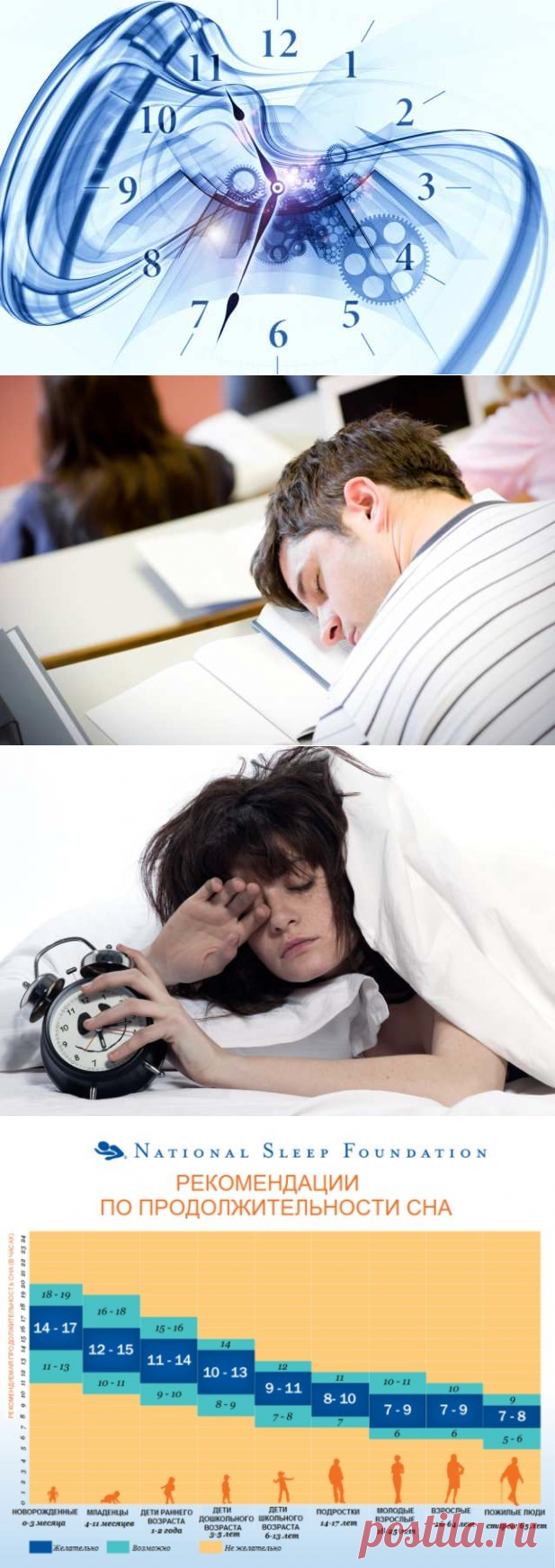 Эксперты: работа и учеба должны начинаться не раньше 10 часов — Интересные факты