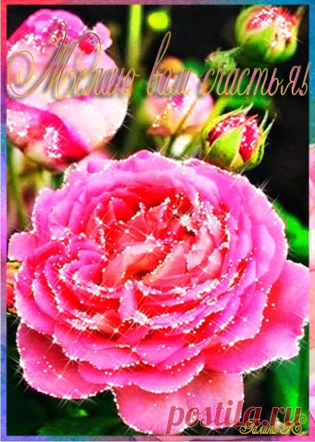 0_10ee2a_10de8beb_orig (650×913)