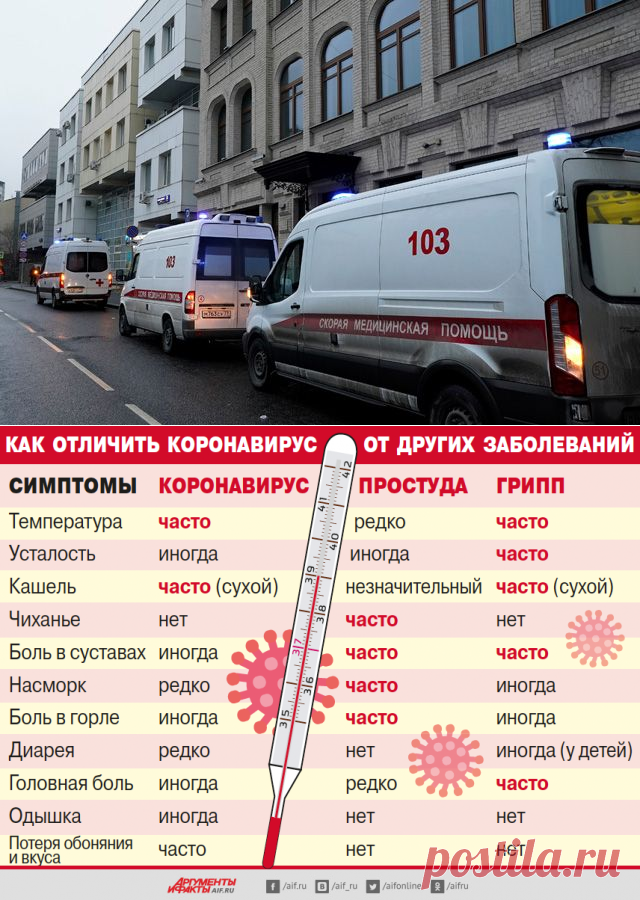 Загадки иммунитета. Почему болеть COVID-19 будут не все | Все о коронавирусе | Здоровье | Аргументы и Факты