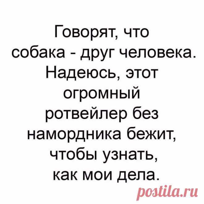 Смехопанорама