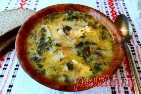 12 вкуснейших щавелевых супов, которые можно готовить все лето