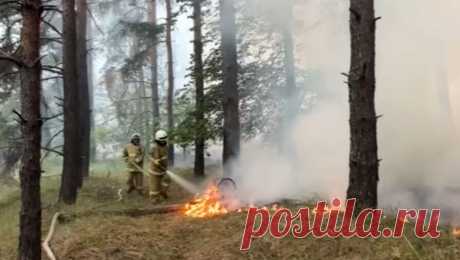 В ЛНР локализовали природный пожар спустя несколько суток. В Станично-Луганском районе Луганской народной республики (ЛНР) локализовали природный пожар на площади 2,3 га. Об этом сообщили в пресс-службе МЧС. По данным ведомства, в результате инцидента сгорели 186 строений, из которых 165 — ...