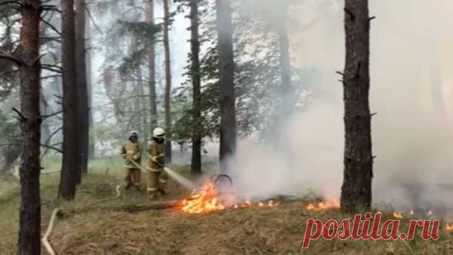 В ЛНР локализовали природный пожар спустя несколько суток. В Станично-Луганском районе Луганской народной республики (ЛНР) локализовали природный пожар на площади 2,3 га. Об этом сообщили в пресс-службе МЧС. По данным ведомства, в результате инцидента сгорели 186 строений, из которых 165 — ...