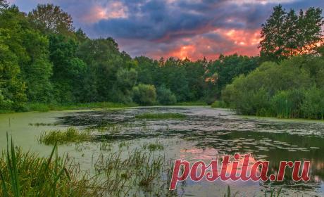 35PHOTO - Александр Гвоздь - У леса на опушке